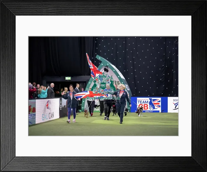 Framed Print : Agility Team GB Parade