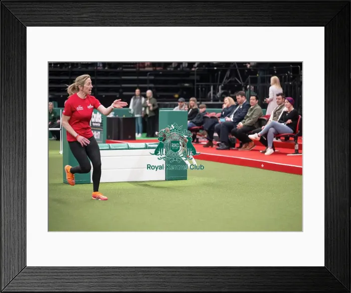 Framed Print : Agility Championships Intermediate / Large final