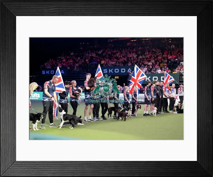 Framed Print : Agility Team GB Parade