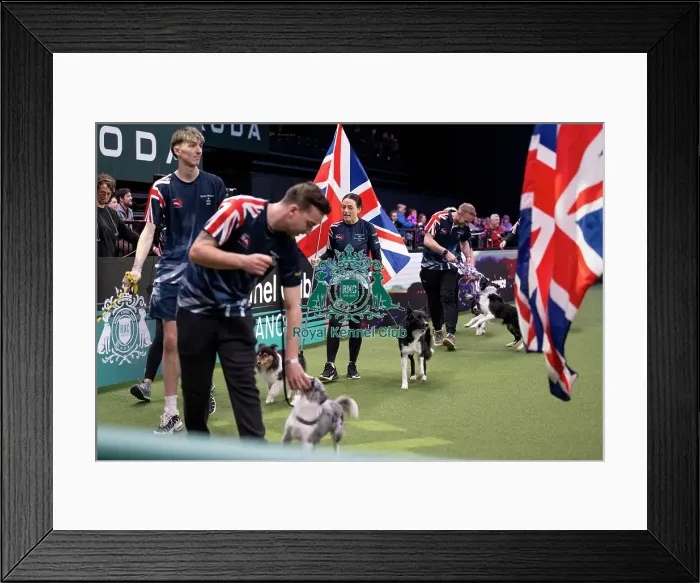 Framed Print : Agility Team GB Parade Framed Print : Agility Team GB Parade