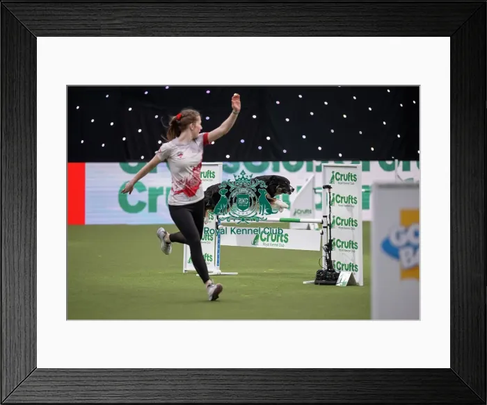 Framed Print : Agility International Invitation