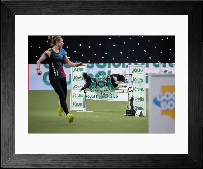 Framed Print : Agility International Invitation