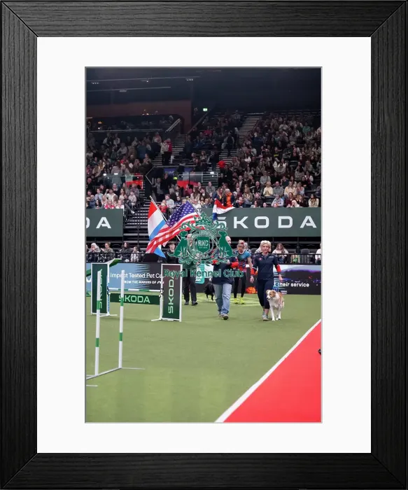 Framed Print : Agility International Invitation Framed Print : Agility International Invitation