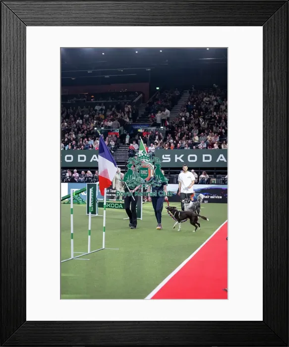 Framed Print : Agility International Invitation Framed Print : Agility International Invitation