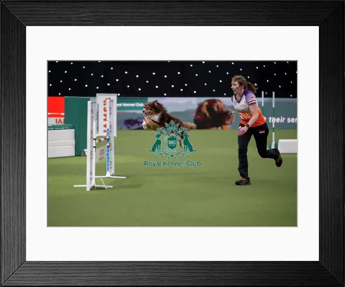 Framed Print : Agility International Invitation Framed Print : Agility International Invitation