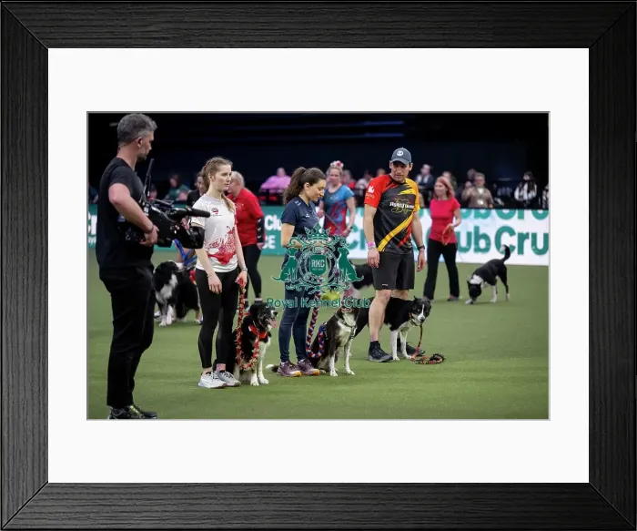 Framed Print : Agility International Invitation Framed Print : Agility International Invitation