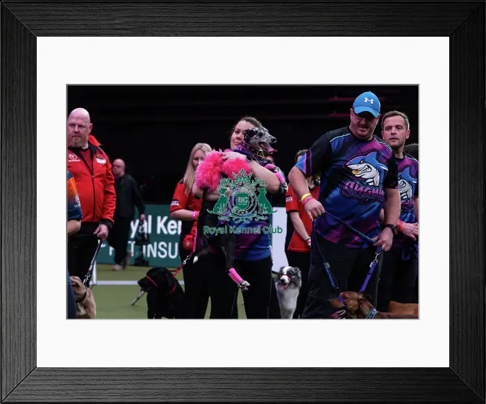 Framed Print : Flyball Final