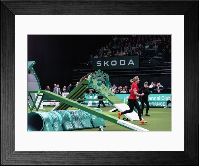 Framed Print : Agility Finals