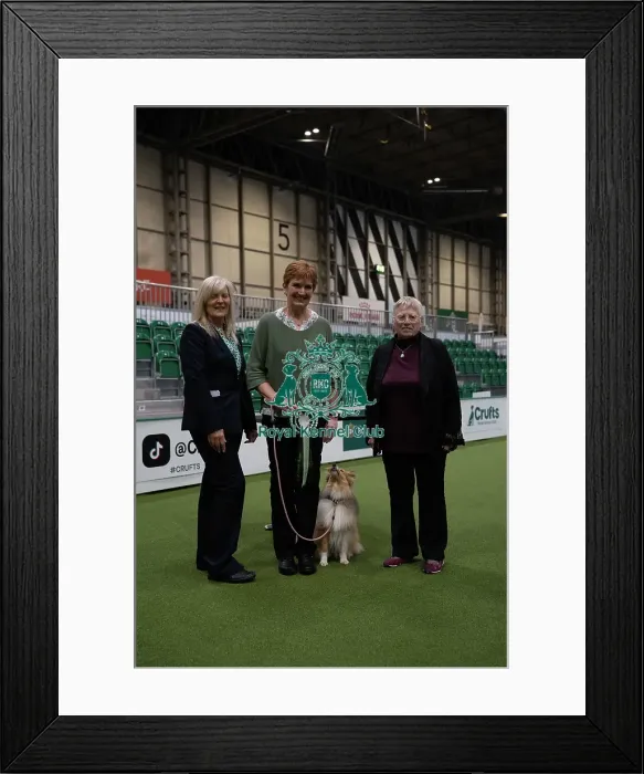 Framed Print : Winner Rally Dog Awards - Challenge Award levels 1&2 Winner Rally Dog Awards - Challenge Award levels 1&2 Framed Print : Winner Rally Dog Awards - Challenge Award levels 1&2 Winner Rally Dog Awards - Challenge Award levels 1&2