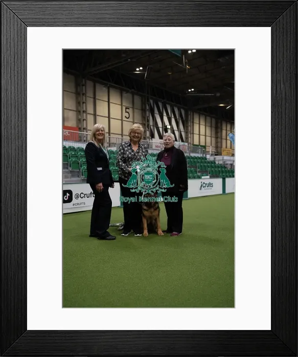 Framed Print : Winner of Rally Dog Awards - Outstanding Award - Levels 5&6 Winner of Rally Dog Awards - Outstanding Award - Levels 5&6 Framed Print : Winner of Rally Dog Awards - Outstanding Award - Levels 5&6 Winner of Rally Dog Awards - Outstanding Award - Levels 5&6