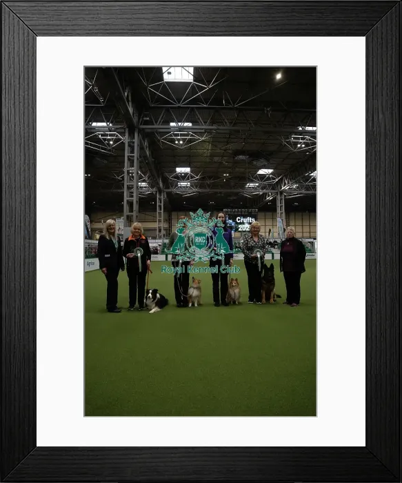Framed Print : Rally Award Winners Framed Print : Rally Award Winners
