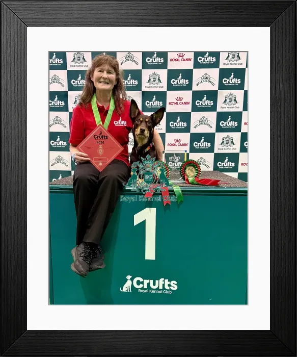 Framed Print : Crufts 2026 Obedience, Crufts 2026 Rally