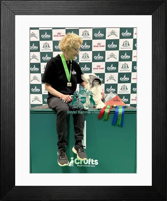 Framed Print : Crufts 2026 Obedience, Crufts 2026 Rally