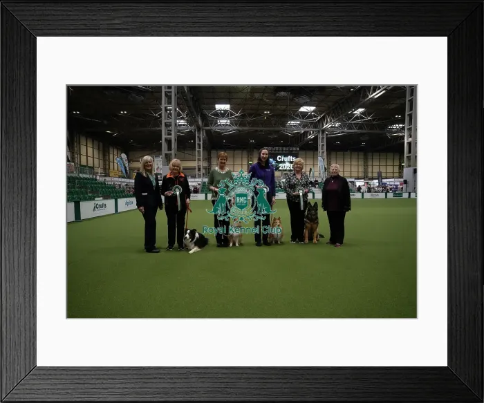 Framed Print : Rally Award Winners Framed Print : Rally Award Winners