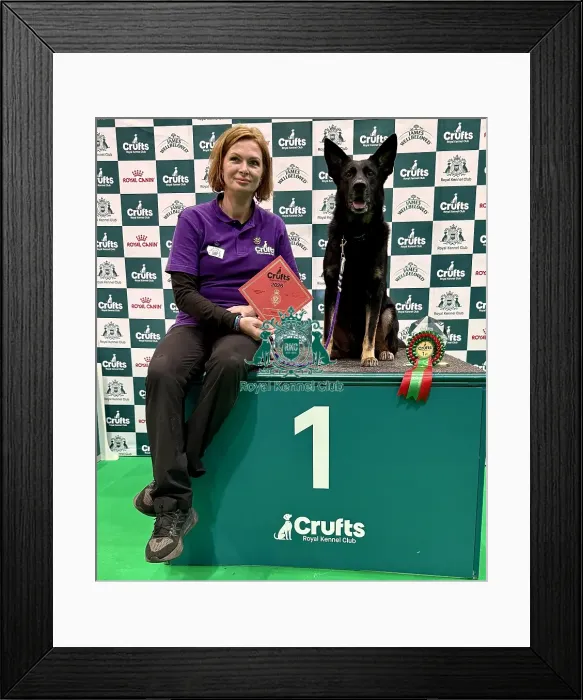 Framed Print : Crufts 2026 Obedience, Crufts 2026 Rally