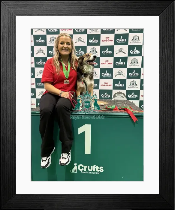 Framed Print : Crufts 2026 Obedience, Crufts 2026 Rally Framed Print : Crufts 2026 Obedience, Crufts 2026 Rally