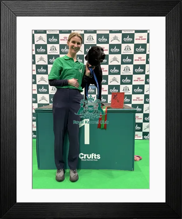 Framed Print : Crufts 2026 Obedience, Crufts 2026 Rally Framed Print : Crufts 2026 Obedience, Crufts 2026 Rally