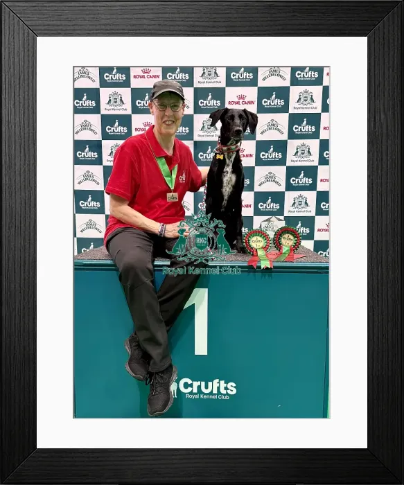 Framed Print : Crufts 2026 Obedience, Crufts 2026 Rally Framed Print : Crufts 2026 Obedience, Crufts 2026 Rally