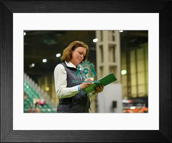 Framed Print : Judge from the Inter-Regional Rally Competition today (05) Framed Print : Judge from the Inter-Regional Rally Competition today (05)