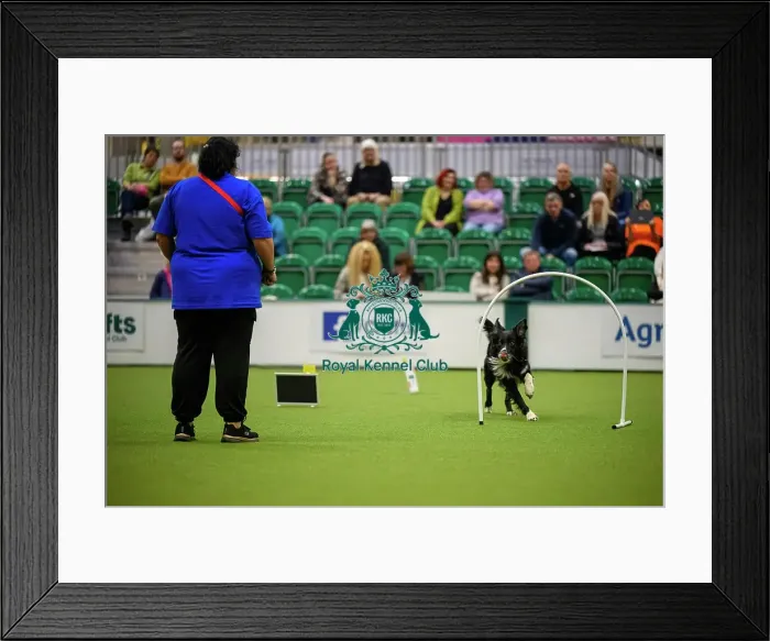 Framed Print : Amy Jackson from Scotland with Duke Framed Print : Amy Jackson from Scotland with Duke