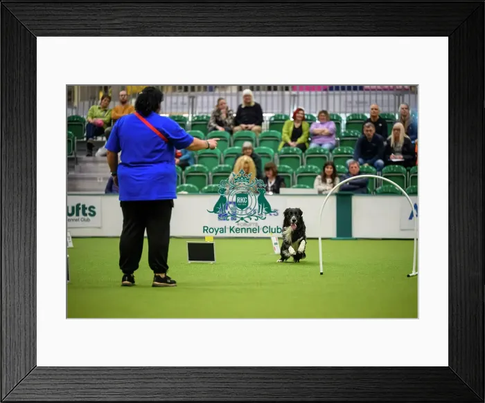 Framed Print : Amy Jackson from Scotland with Duke Framed Print : Amy Jackson from Scotland with Duke