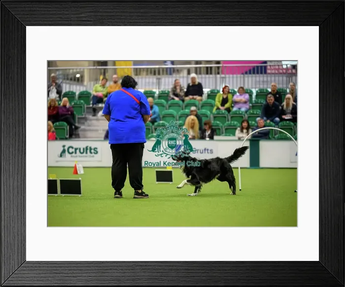 Framed Print : Amy Jackson from Scotland with Duke
