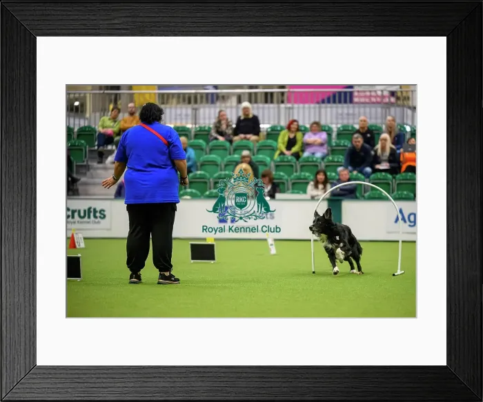 Framed Print : Amy Jackson from Scotland with Duke Framed Print : Amy Jackson from Scotland with Duke