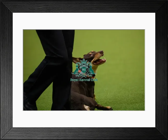 Framed Print : Katy Girdler from Wales, with Kelly Framed Print : Katy Girdler from Wales, with Kelly