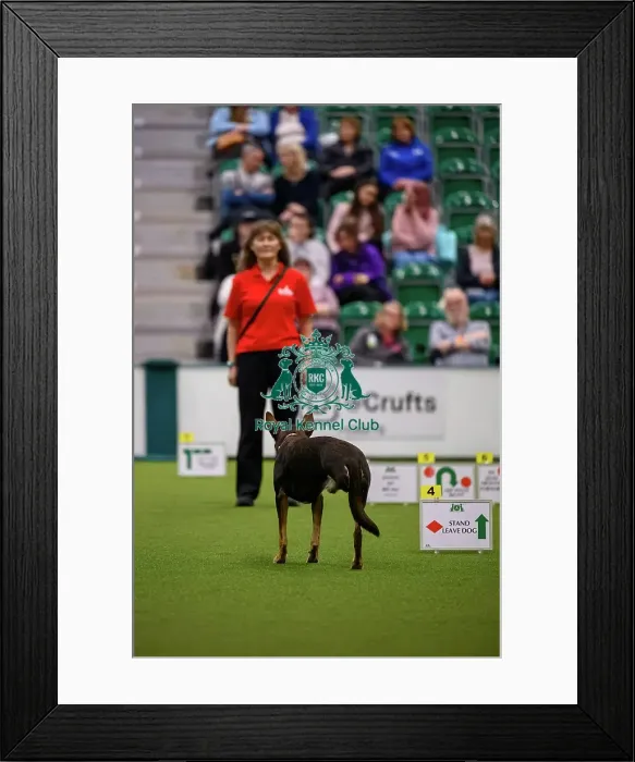 Framed Print : Katy Girdler from Wales, with Kelly Framed Print : Katy Girdler from Wales, with Kelly