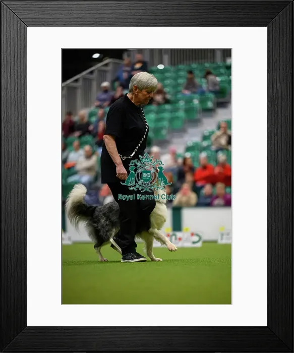 Framed Print : Inter-Regional Rally Competition today (05)