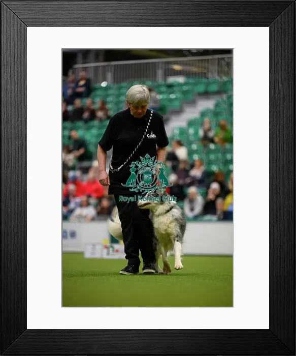 Framed Print : Inter-Regional Rally Competition today (05)