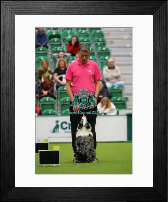 Framed Print : David Moxton, with Boo-Boo, during the Inter-Regional Rally Team Competition Framed Print : David Moxton, with Boo-Boo, during the Inter-Regional Rally Team Competition