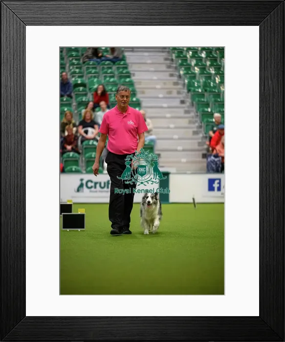 Framed Print : David Moxton, with Boo-Boo, during the Inter-Regional Rally Team Competition Framed Print : David Moxton, with Boo-Boo, during the Inter-Regional Rally Team Competition