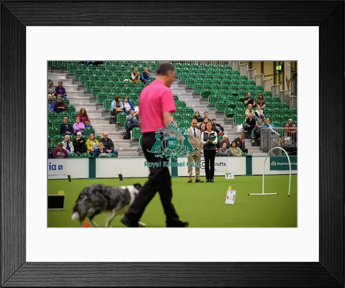 Framed Print : David Moxton, with Boo-Boo, during the Inter-Regional Rally Team Competition Framed Print : David Moxton, with Boo-Boo, during the Inter-Regional Rally Team Competition