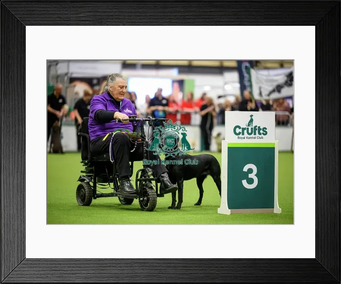 Framed Print : Beryl and Winnie, Third place in the Level 5 Inter-Regional Rally Competition today (05)