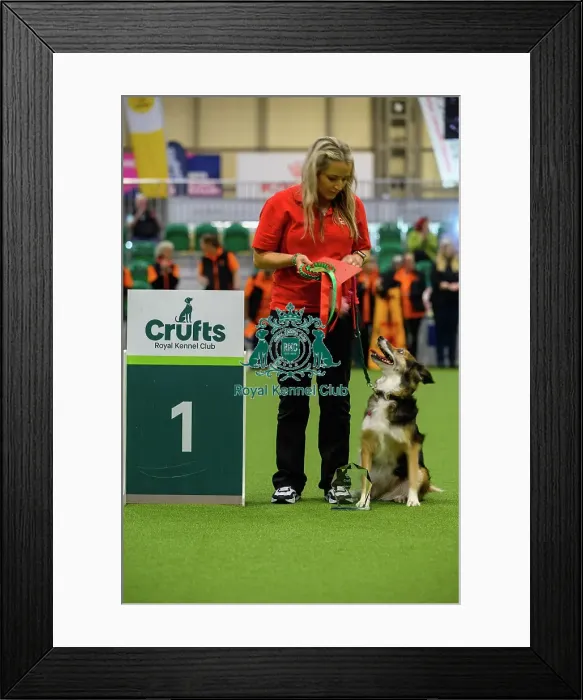 Framed Print : Stephanie with Savvy, Winners of the Inter-Regional Rally Competition today (05) Framed Print : Stephanie with Savvy, Winners of the Inter-Regional Rally Competition today (05)