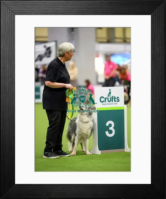 Framed Print : Katy and Lake, Third place in the Level 6 Inter-Regional Rally Competition today (05) Framed Print : Katy and Lake, Third place in the Level 6 Inter-Regional Rally Competition today (05)