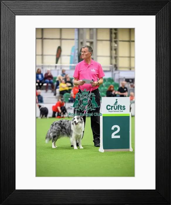 Framed Print : David and Boo-Boo, Runners up in the Level 6 Inter-Regional Rally Competition today (05)