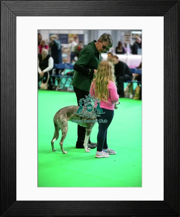 Framed Print : Have A Go Rally Framed Print : Have A Go Rally