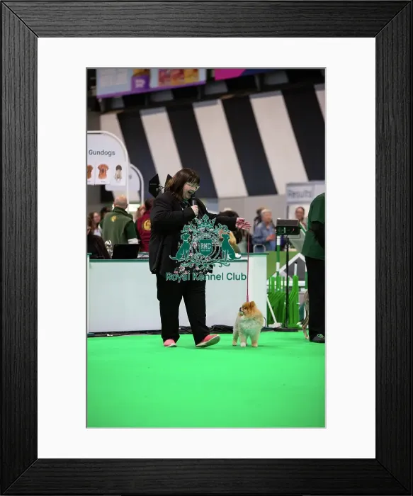 Framed Print : Have A Go Rally