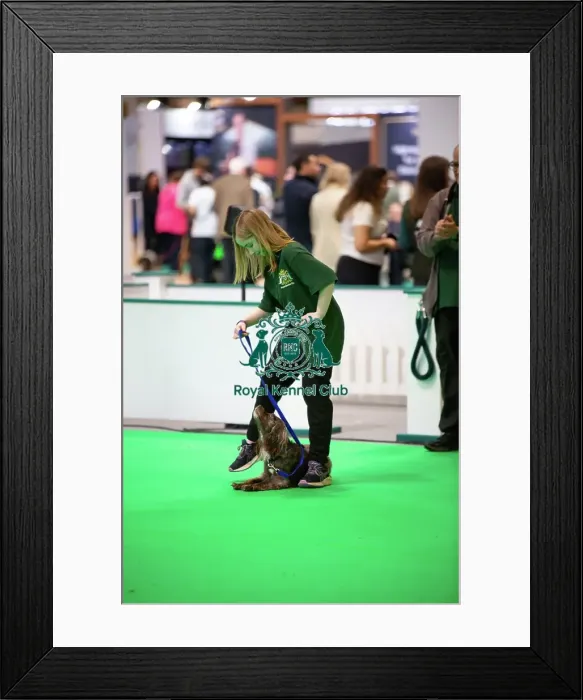 Framed Print : Have A Go Rally Framed Print : Have A Go Rally