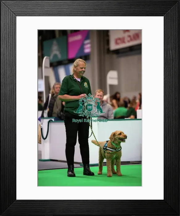 Framed Print : Have A Go Rally Framed Print : Have A Go Rally