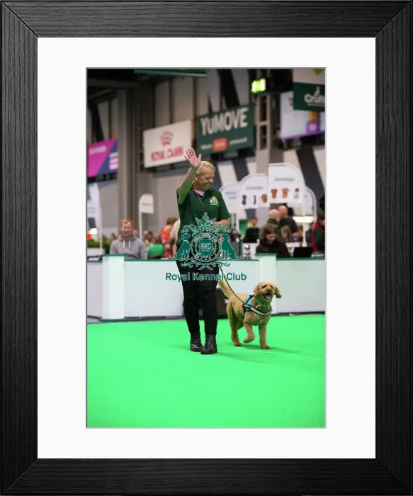 Framed Print : Have A Go Rally Framed Print : Have A Go Rally