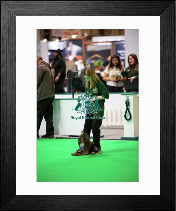 Framed Print : Have A Go Rally Framed Print : Have A Go Rally
