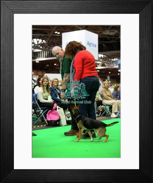 Framed Print : Have A Go Rally