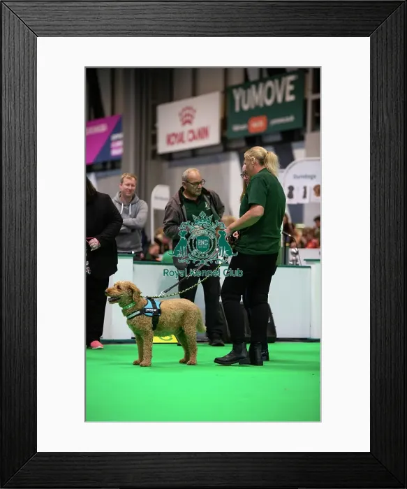 Framed Print : Have A Go Rally Framed Print : Have A Go Rally