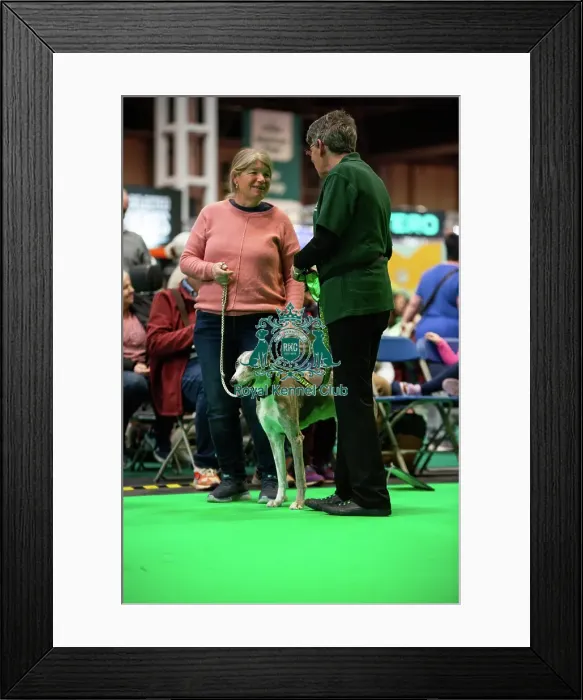 Framed Print : Have A Go Rally
