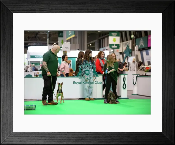 Framed Print : Have A Go Rally