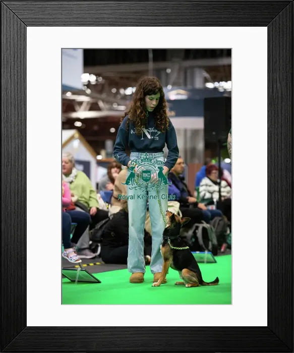 Framed Print : Have A Go Rally