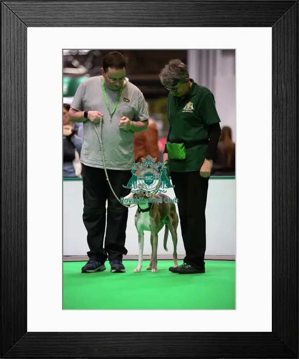Framed Print : Have A Go Rally Framed Print : Have A Go Rally